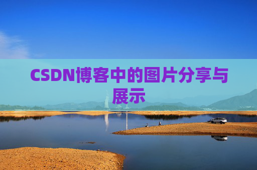 CSDN博客中的图片分享与展示